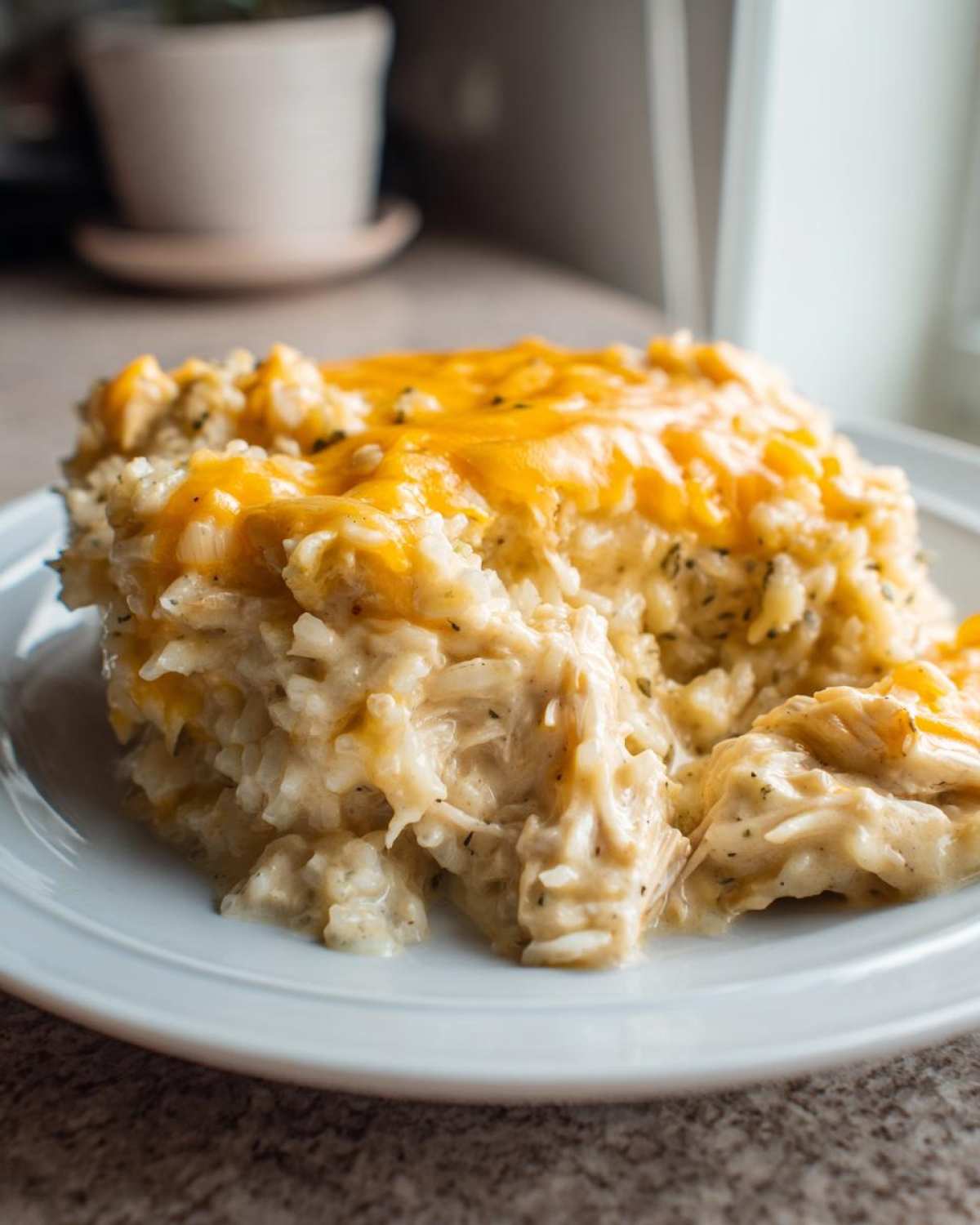 A serving of creamy chicken and rice topped with melted cheddar cheese on a white plate.