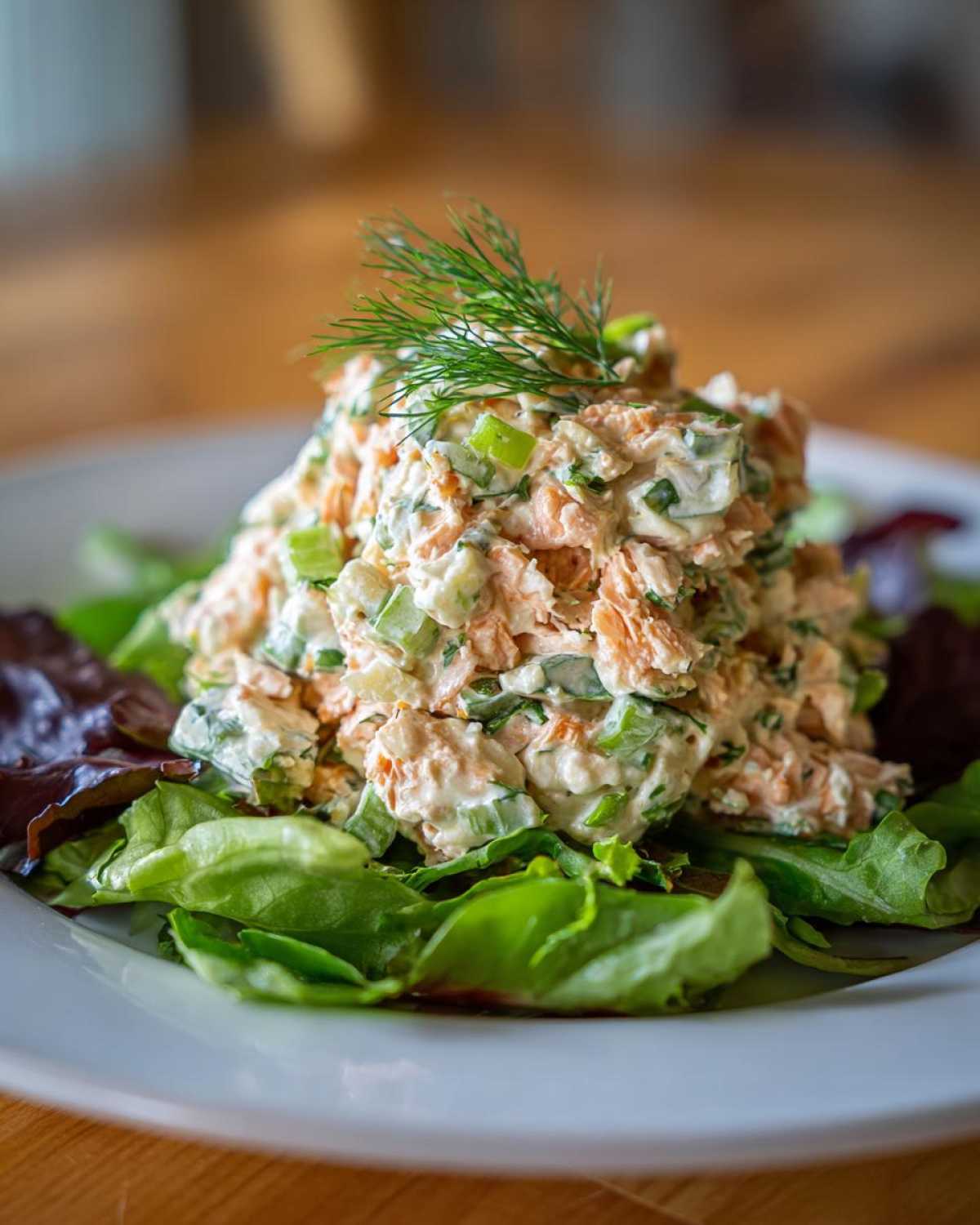 A mound of creamy salmon salad mixed with celery and herbs, served atop mixed greens and garnished with fresh dill.