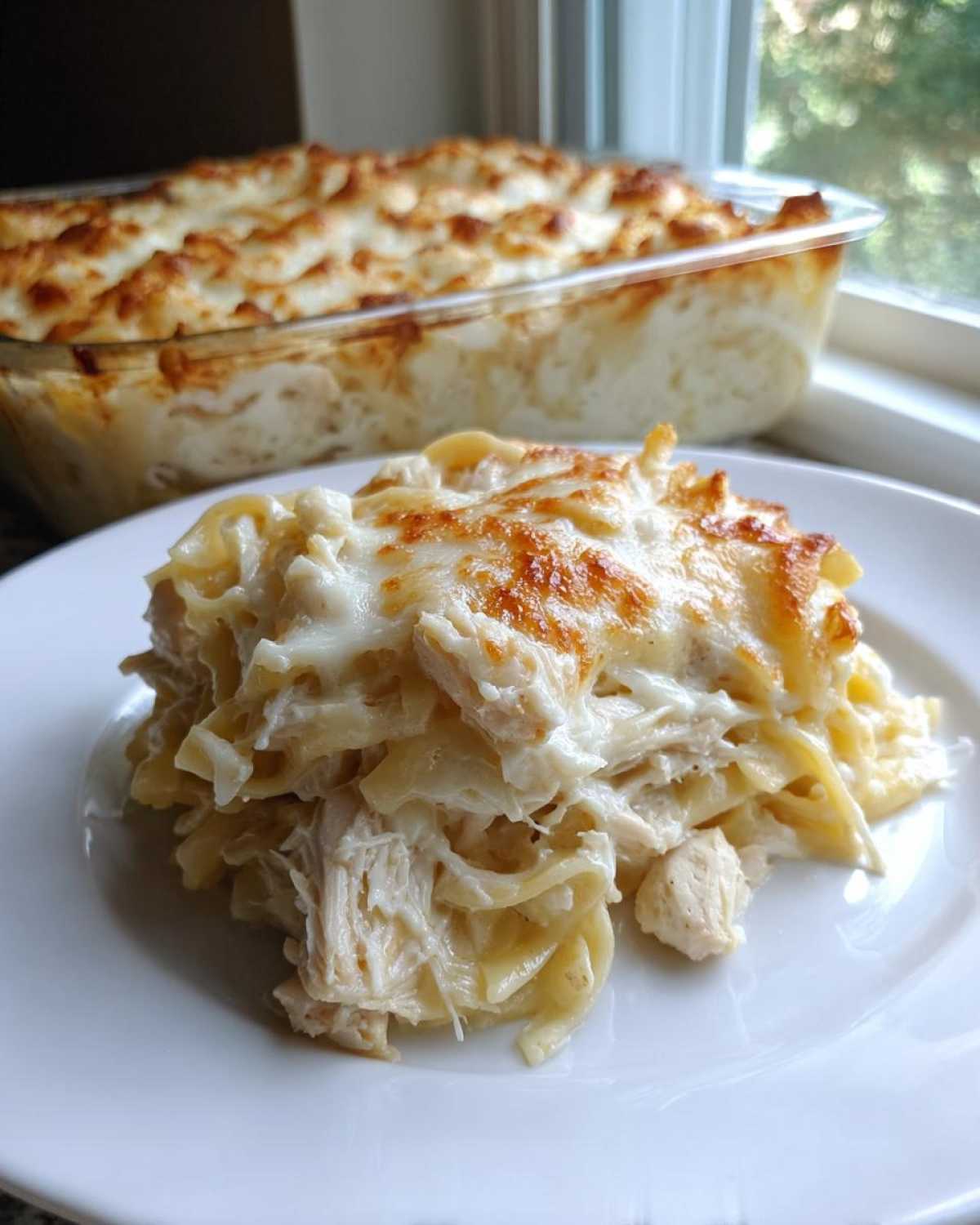 A serving of Creamy Alfredo Chicken Bake with pasta, shredded chicken, and golden melted cheese on a white plate.