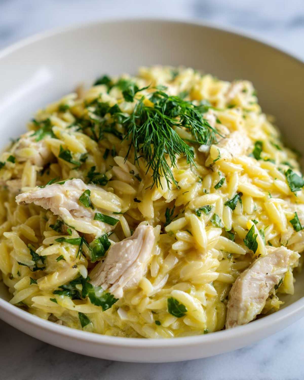 Close-up of Creamy Lemon Chicken Orzo with shredded chicken pieces and fresh dill and parsley garnish.