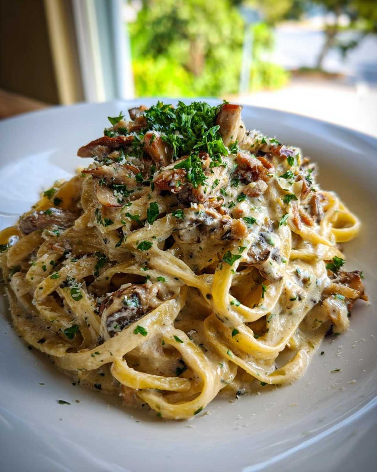 A close-up of fettuccine pasta coated in a rich, creamy sauce with sautéed mushrooms, topped with Parmesan and fresh parsley for Creamy Mushroom Pasta with Parmesan Sauce.